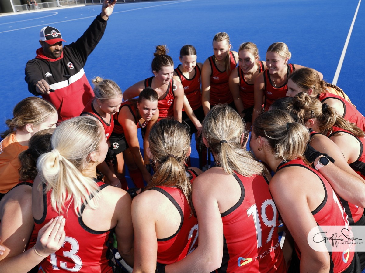 513680820 1109897487836877 4949786000696503974 n v5